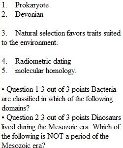 Unit 4 Assessment